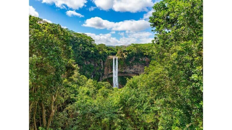 Mauritius: Highlight immersion tour in the south west - The Value of the Tour