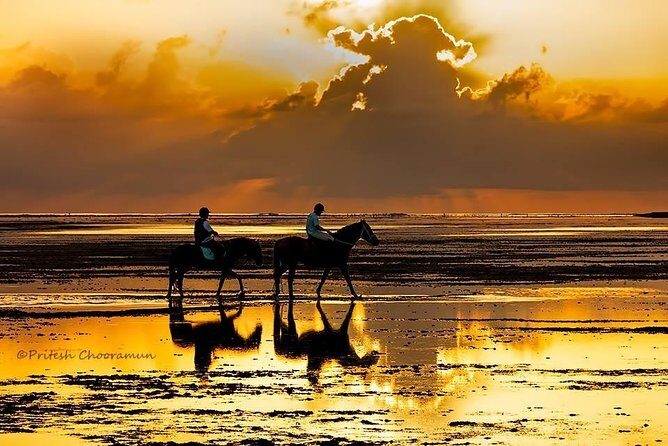 Mauritius Horse Riding at Riambel - Why the Experience Matters