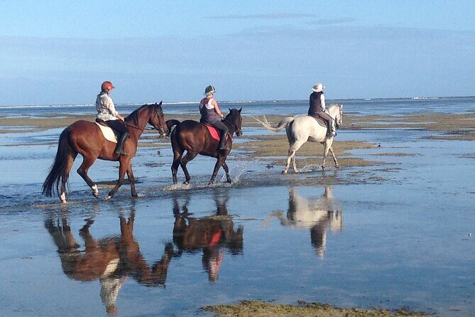 Mauritius Horse Riding at Riambel - Who Will Appreciate This Tour?