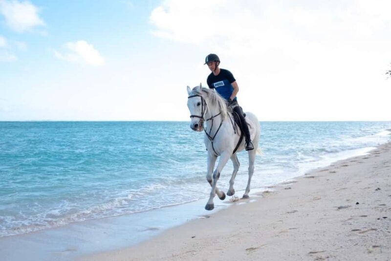 Mauritius: Horse riding on the deserted beach of Riambel - Key Points
