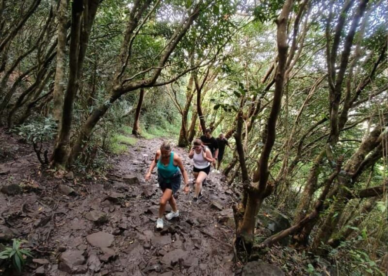 Mauritius: Le Pouce Guided Hiking Experience with a local - Authentic Insights from Reviews
