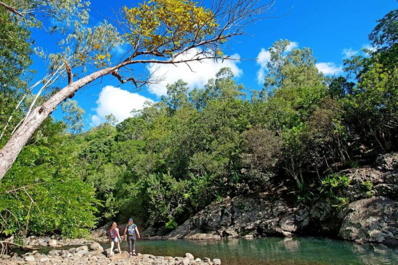 Mauritius National Park: Discover the Island as It Once Was - Key Points