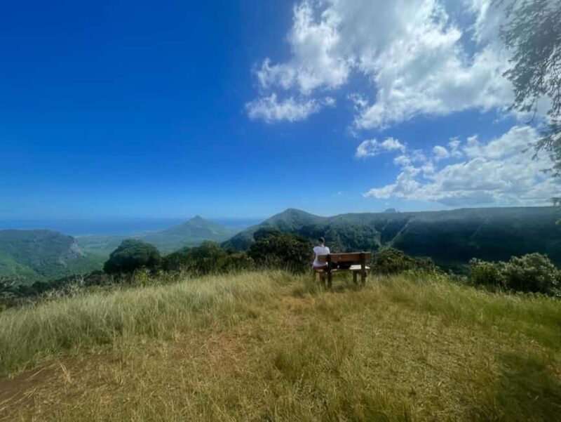 Mauritius National Park: Discover the Island as It Once Was - Discovering the Forest of Mauritius