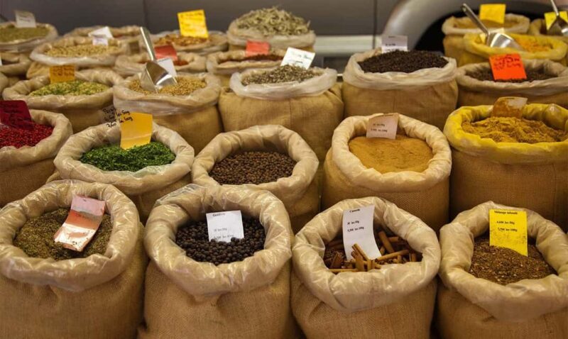 Mauritius: North Tour with Tea Tasting & Oceanarium Visit - Authentic Experiences and Authenticity