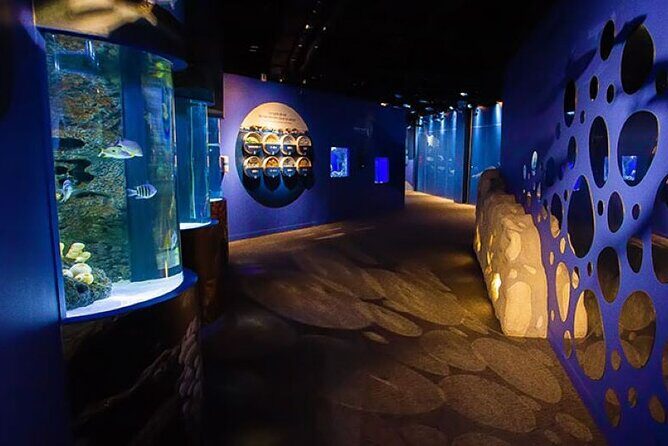 Mauritius Odysseo Oceanarium in Port Louis - An In-Depth Look at the Experience