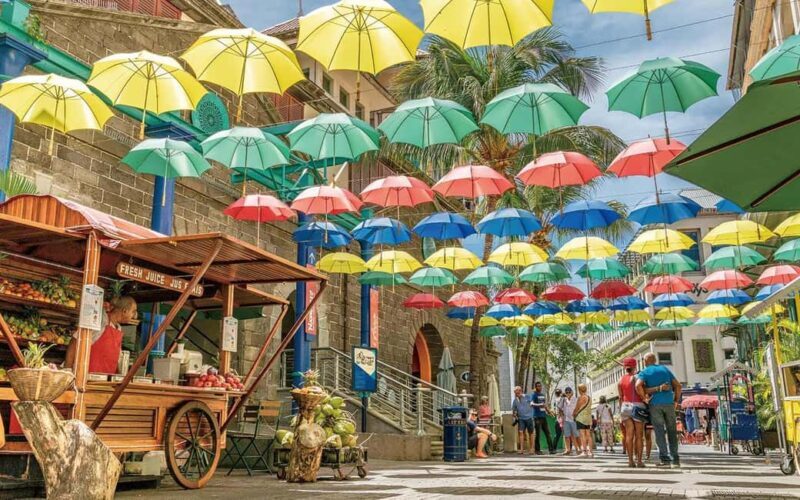 Mauritius: Port Louis and Northern Highlights Full-Day Trip - Key Points