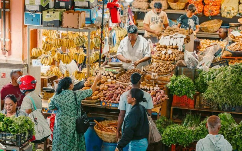 Mauritius: Port Louis and Northern Highlights Full-Day Trip - An In-Depth Look at the Tour