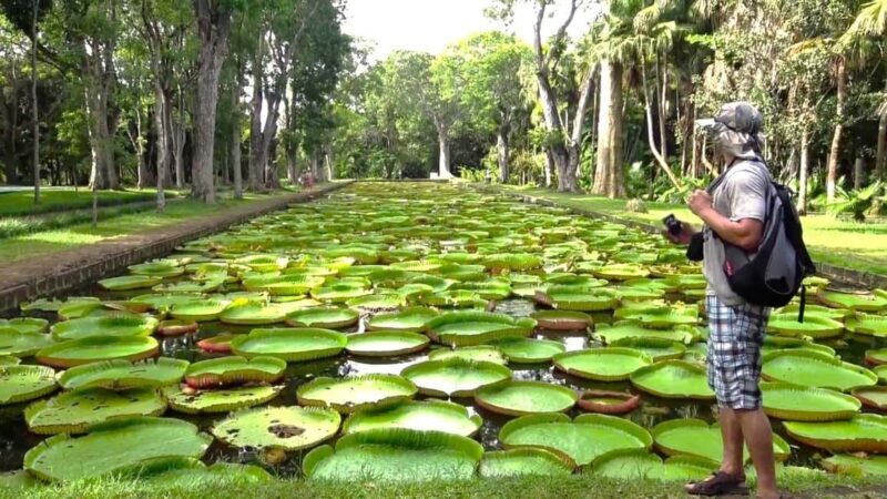 Mauritius: Port Louis and Northern Highlights Full-Day Trip - Authentic Experiences and Traveler Tips