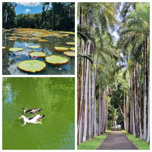 Mauritius: Private Full-Day North Tours - Key Points