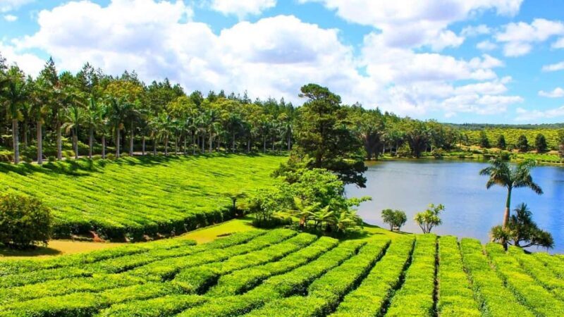 Mauritius: Private Full-Day South Mauritius Tour - FAQs