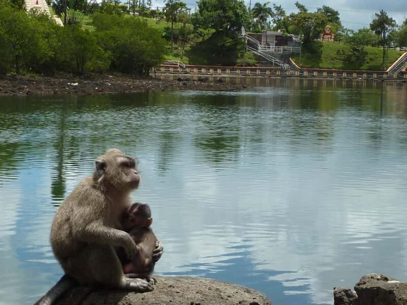 Mauritius: Private Guided South Tour with Pickup - Who Will Love This Tour?