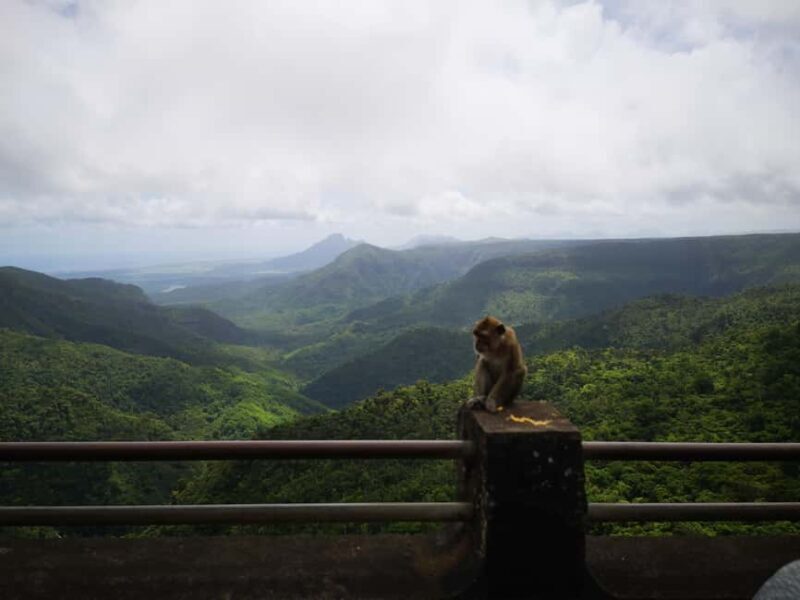 Mauritius: Private South Tour with Pickup - Who Will Love This Tour?