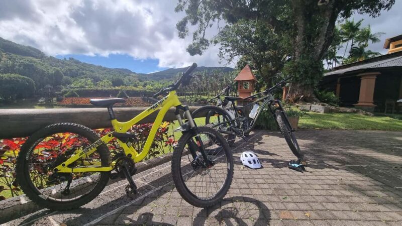 Mauritius: Scenic Bike Trails with Gear & Shuttle - Key Points