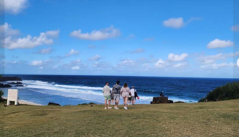 Mauritius: South Coast Tour with Tea Factory & Gris Gris - Who Is This Tour Best For?