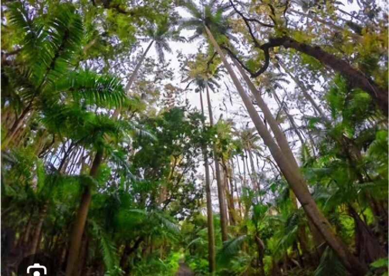 Mauritius: South of Mauritius VIP Quad Tour - Who Should Consider This Tour?