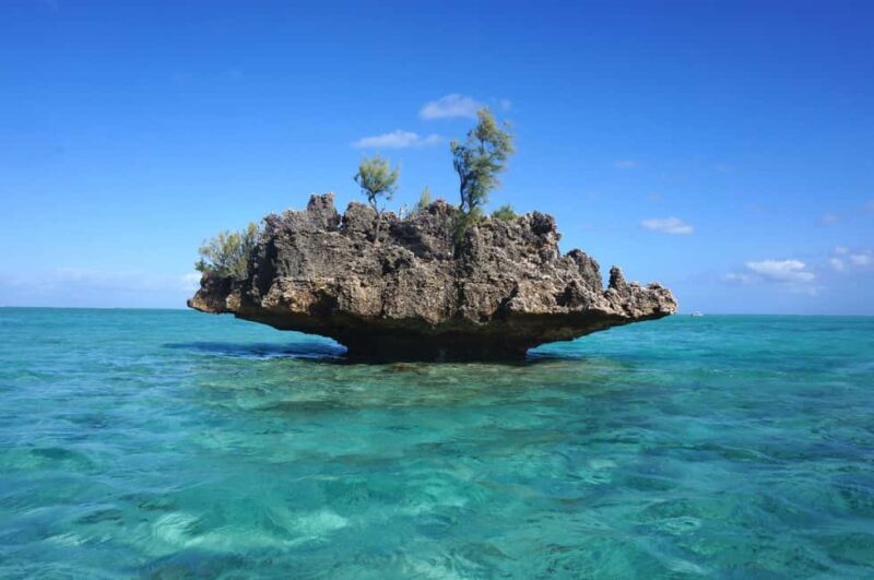 Mauritius: Swim with Dolphins Full-Day with Lunch/Drinks - A Full Breakdown of What You Can Expect
