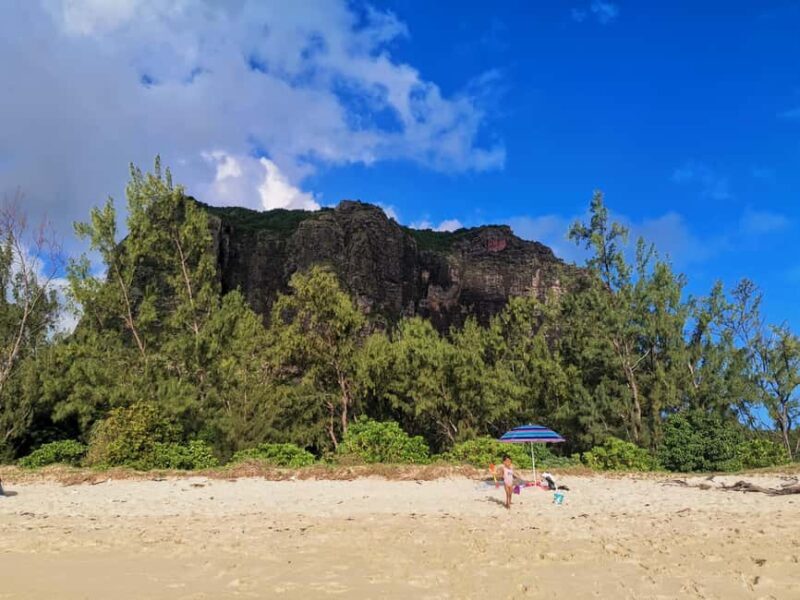 Mauritius: Tamarin Bay, Black River Gorges and Chamarel Tour - Starting the Day at Tamarin Bay: Dolphins and Surfing