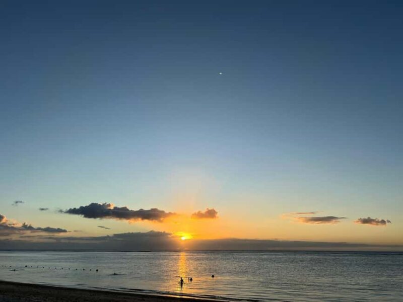 Mauritius: Tamarin Bay, Black River Gorges and Chamarel Tour - Local Culture and Coastal Charm