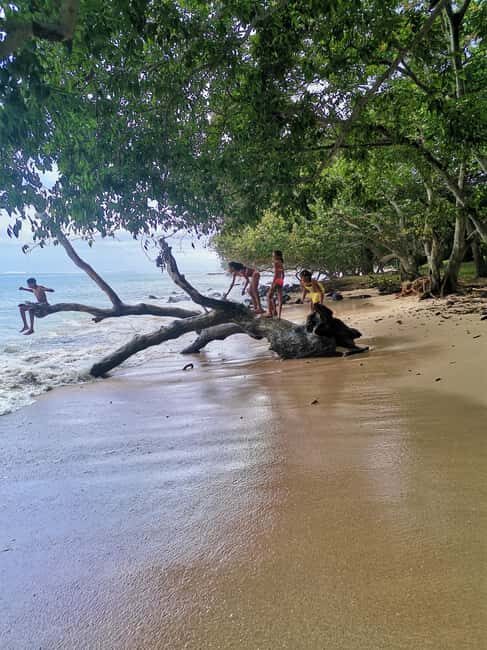 Mauritius: Tamarin Bay, Black River Gorges and Chamarel Tour - Sunset at Le Morne Beach: The Perfect Finish