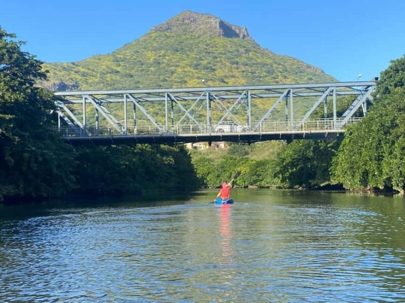 Mauritius: Tamarin Bay Dolphin Watching Kayak Tour - Key Points