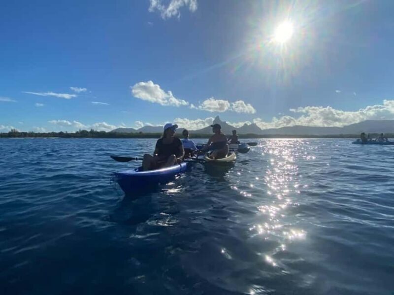 Mauritius: Tamarin Bay Dolphin Watching Kayak Tour - An Honest Look at the Tamarin Bay Dolphin Kayak Tour