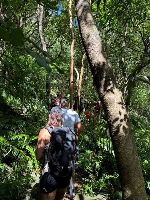 Mauritius: Tamarind Falls- Unique Nature Experience - FAQ
