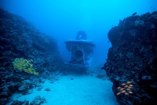 Mauritius Unique Submarine Tour - Key Points