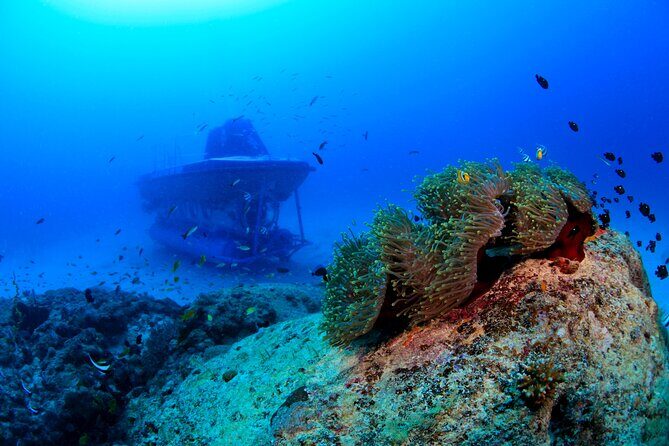 Mauritius Unique Submarine Tour - An In-Depth Look at the Mauritius Unique Submarine Tour