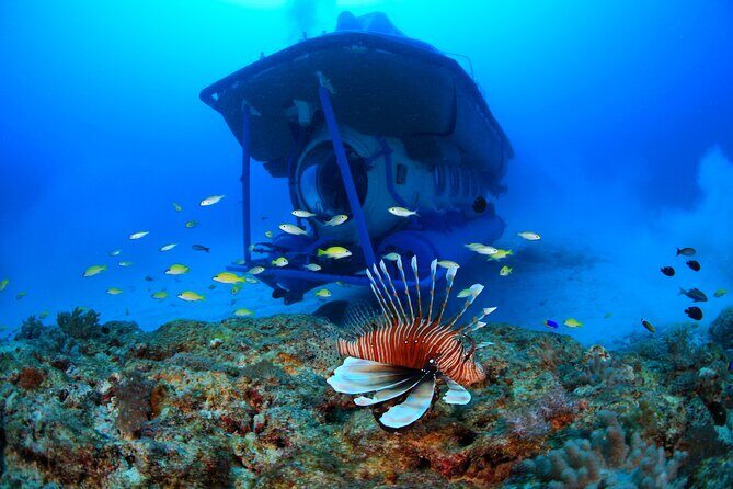 Mauritius Unique Submarine Tour - Final Word
