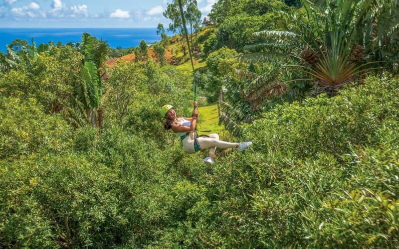Mauritius: Vallé Advenature Park - Adventure Tour Zipline - What to Expect from the Vallé Advenature Park Zipline Tour