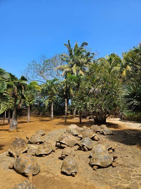 Mauritius: Vanilla Park & Beaches Tour with Extra Option - Who Will Love This Tour?