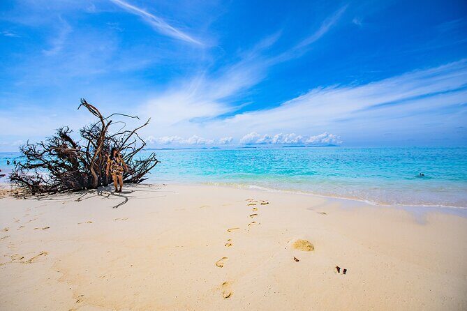 Maya Bay, Monkey Bay and Phi Phi Island Snorkeling Tour from Koh Lanta - Potential Downsides and Considerations