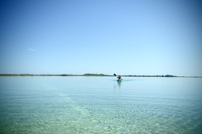 Mayaking. A Journey Through the Heart of the Sian Kaan Biosphere - Who Will Love This Tour?