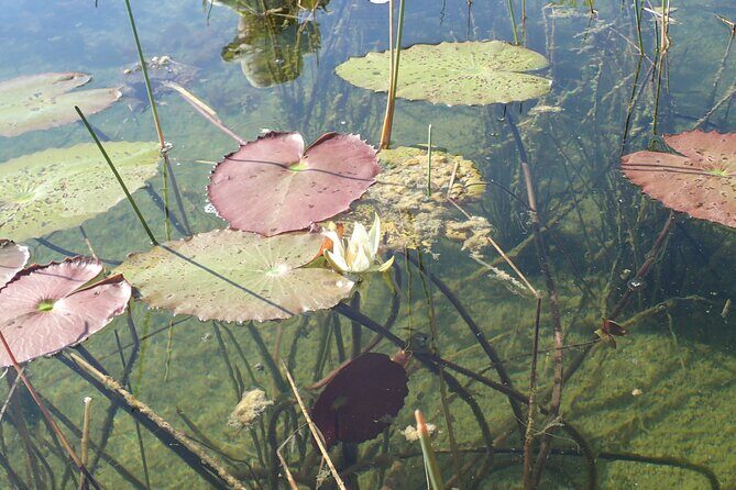 Mayaking. A Journey Through the Heart of the Sian Kaan Biosphere - FAQ