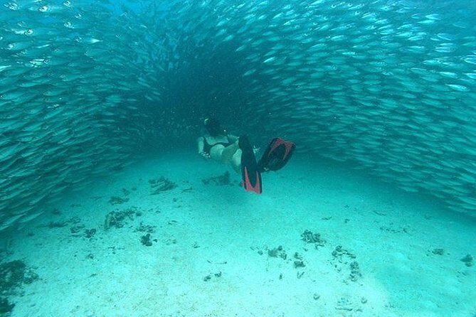 Mayan Adventure from Cancun - FAQs