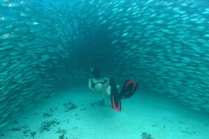 Mayan Adventure from Playa del Carmen - What’s Included and What to Consider