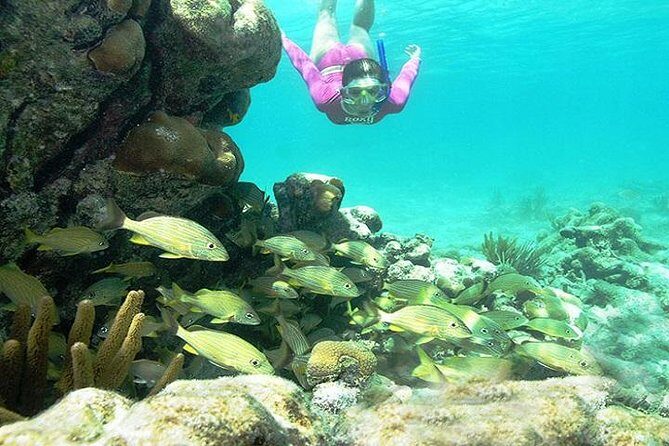 Mayan Adventure from Playa del Carmen - Frequently Asked Questions
