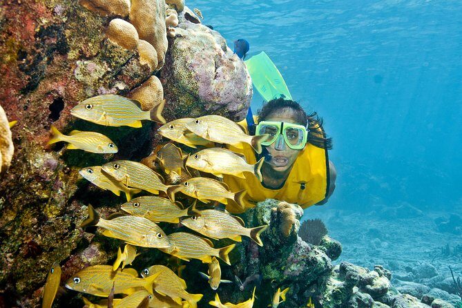 Mayan Adventure Snorkeling Tour from Playa del Carmen or Riviera Maya - Practical Tips for Travelers