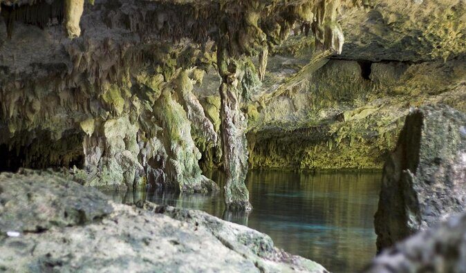 Mayan Ceremonial Night: Temazcal, Cenote Swim and Dinner from Playa del Carmen - A Deep Dive into the Experience