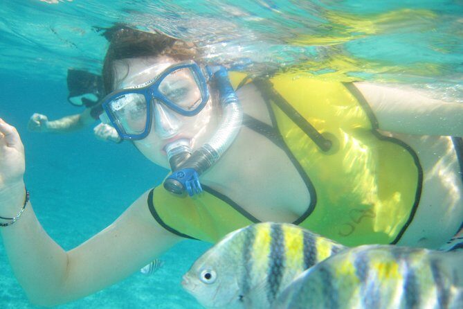 Mayan Flavors & Tequila Tasting + Beach Time - The Itinerary in Detail