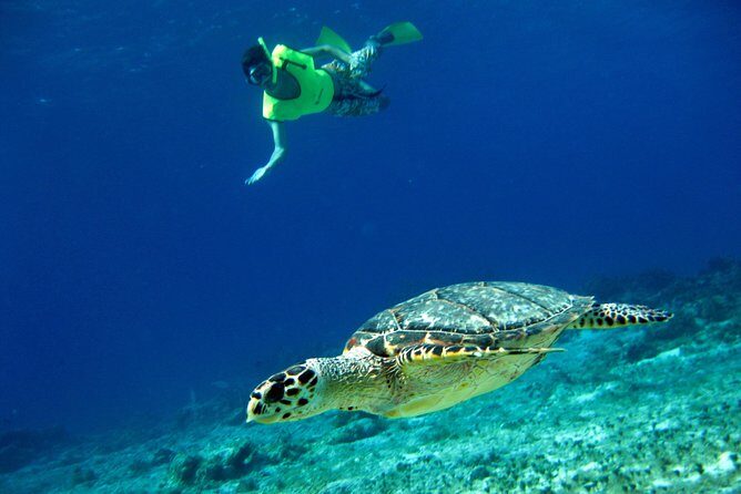 Mayan Flavors & Tequila Tasting + Beach Time - The Reality of the Experience According to Reviews
