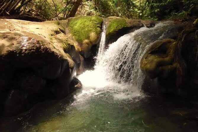 Mayfield Falls nature walk - Key Points