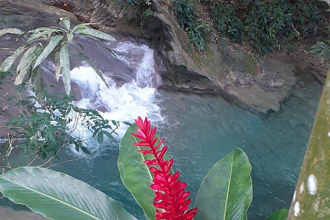 Mayfield Falls nature walk - Final Thoughts: Is This Tour Worth It?