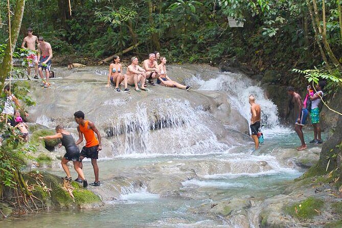 Mayfield Falls Tour with Lunch, drink, Entry & Transp(Original) - Key Points