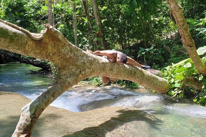 Mayfield Falls Tour with Lunch, drink, Entry & Transp(Original) - Why Choose Mayfield Falls from Montego Bay?