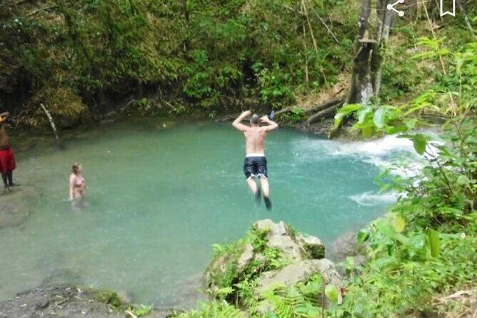 Mayfield Falls Tour with Lunch, drink, Entry & Transp(Original) - What’s Included and What’s Not