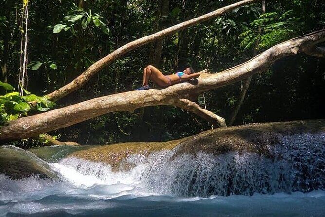 Mayfield Falls Tour with Lunch, drink, Entry & Transp(Original) - Who Will Love This Tour?