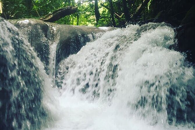 Mayfield Falls Tour with Lunch, drink, Entry & Transp(Original) - Authenticity and Value
