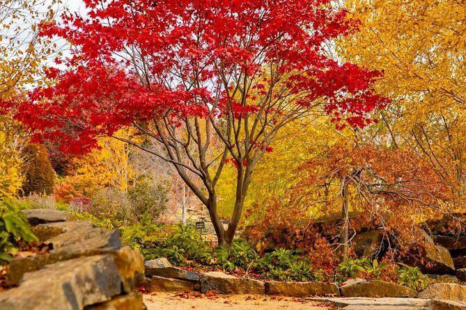 Mayfield Gardens Autumn Tour from Sydney with Echo Point Stop - A Detailed Look at the Itinerary