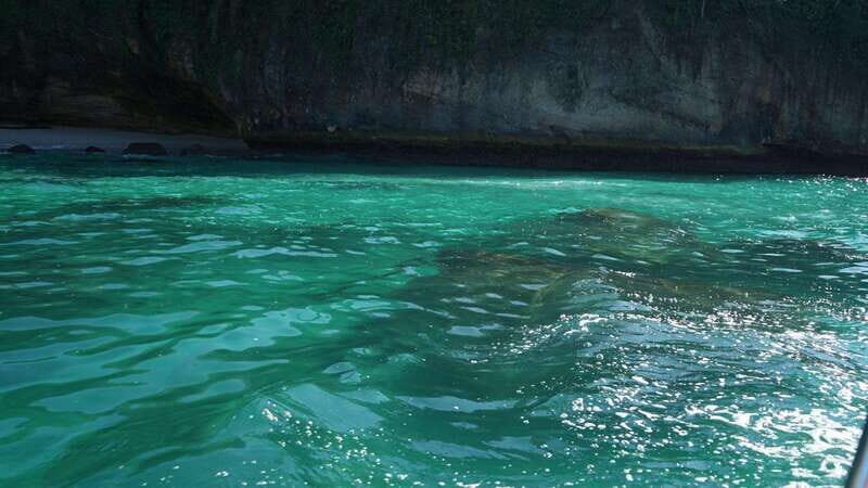 Mazatlan 3 Islands Snorkeling and Bird Watching Tour - Is This Tour Worth the Price?